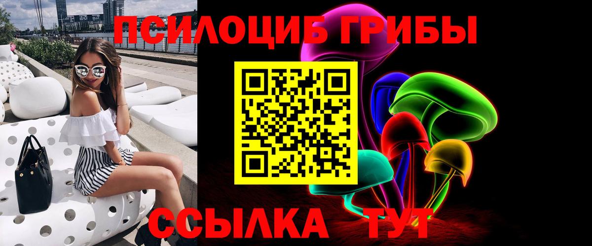 Псилоцибиновые грибы мицелий  Вход с VPN  Псилоцибиновые грибы мухоморы  купить закладку  Стрежевой 